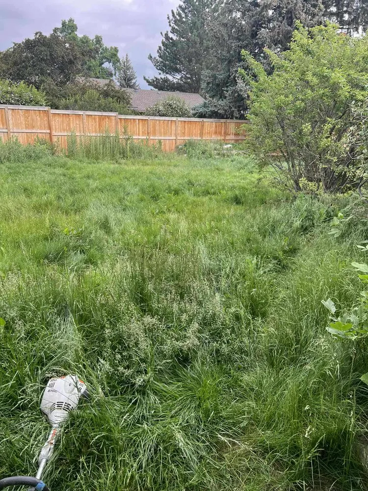 Custom landscape design in Longmont, CO - Galaxy Landscaping