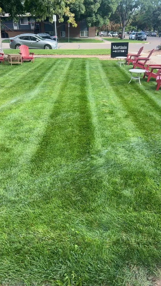 Affordable outdoor landscaping for beautiful yards across Longmont, CO - Galaxy Landscaping