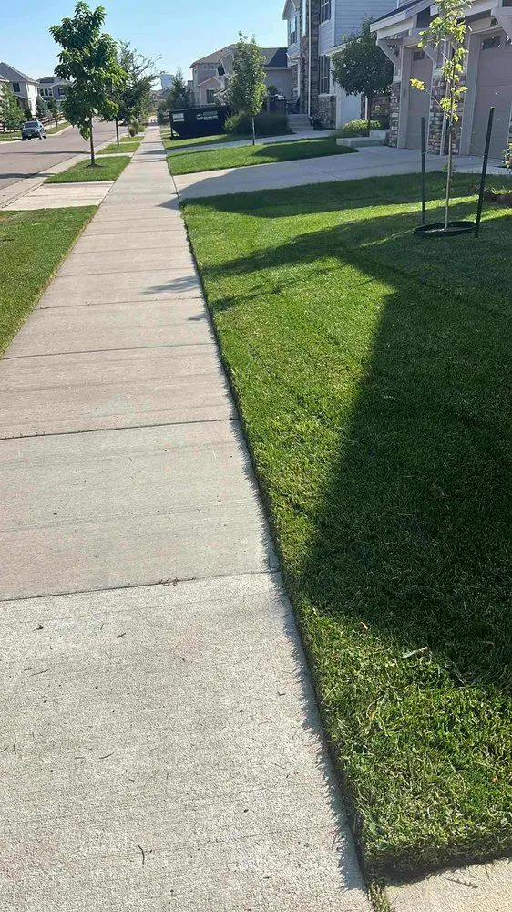 Expert yard maintenance for homes across Longmont, CO - Galaxy Landscaping