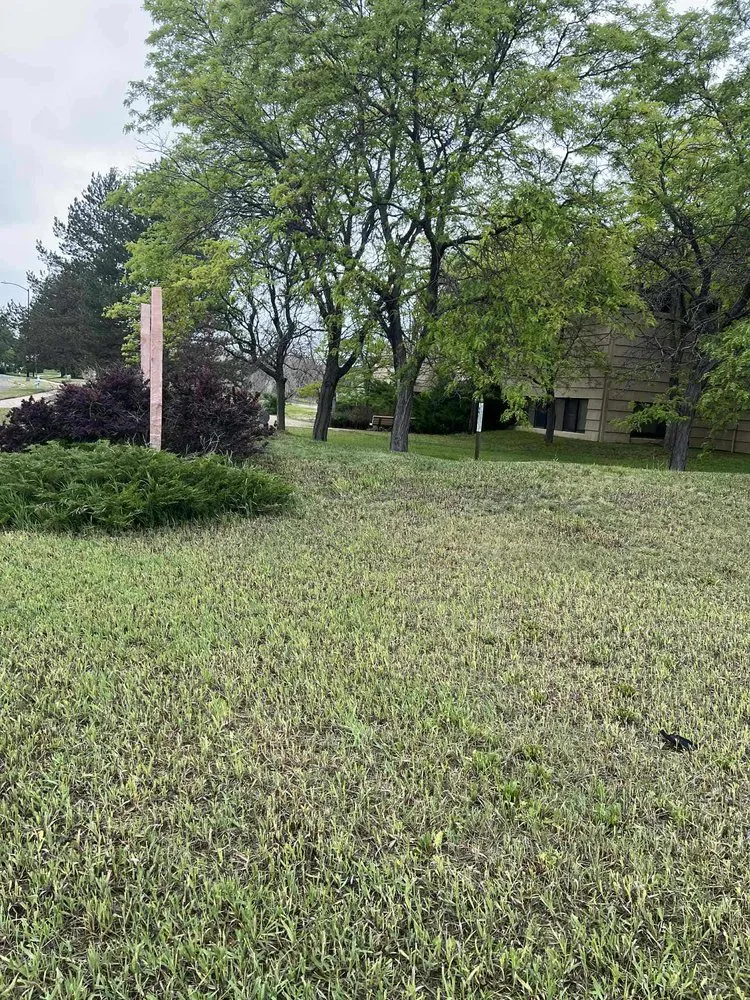 Trusted landscape installation in Longmont, CO - Galaxy Landscaping
