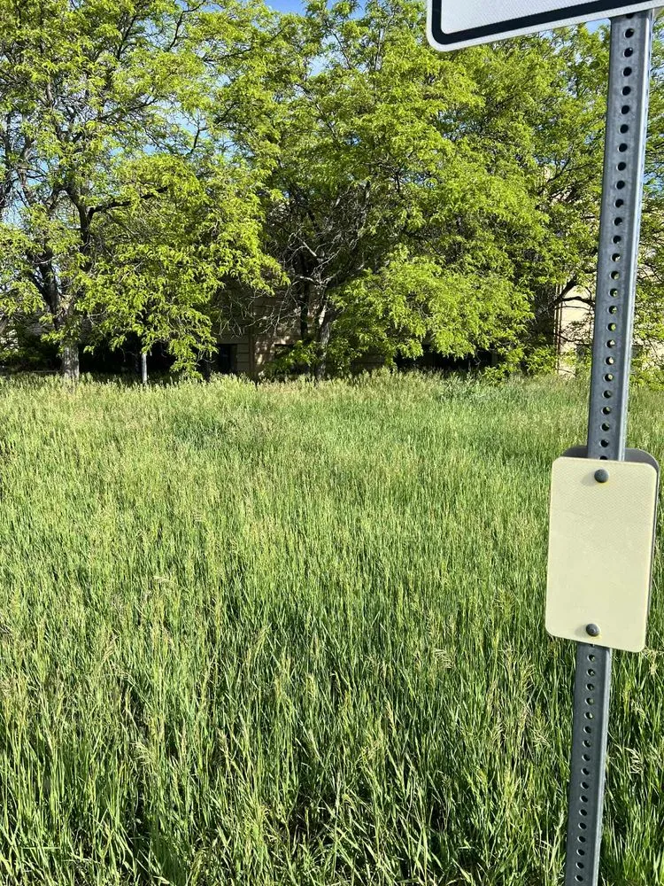 Reliable garden landscaping in Longmont, CO - Galaxy Landscaping