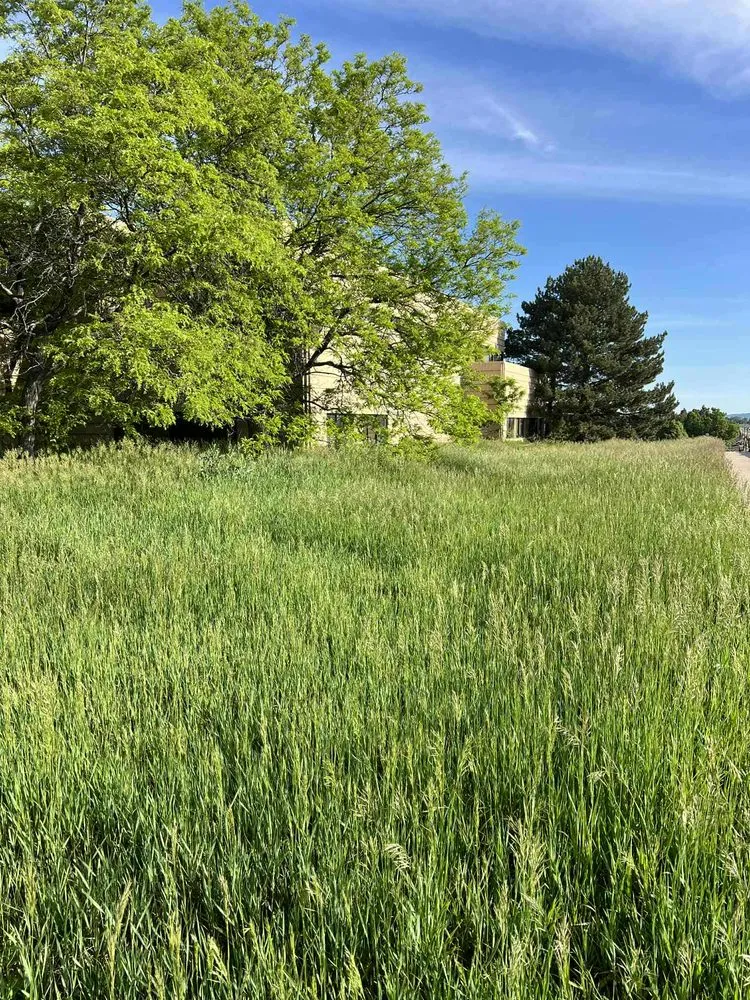 Expert residential landscaping for beautiful yards in Longmont, CO by Galaxy Landscaping