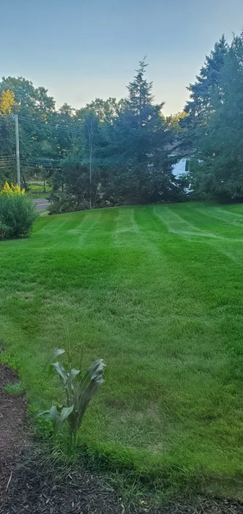 Affordable garden landscaping in Northford, CT by Galaxy Landscaping