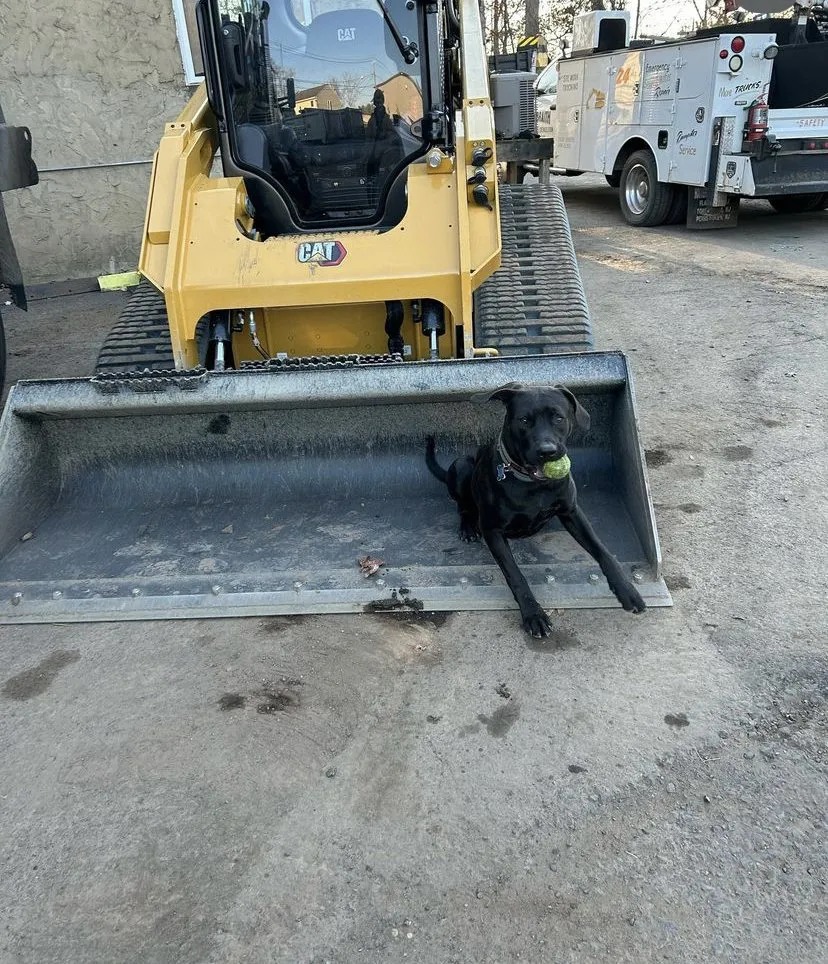 Trusted outdoor landscaping experts serving Scotch Plains, NJ - Galbraith & Son