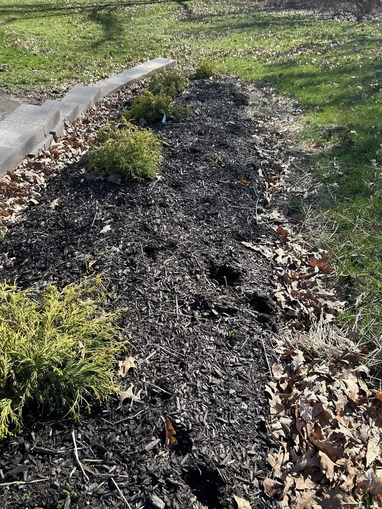 Professional lawn mowing service in Fort Wayne, IN - Galbraith's