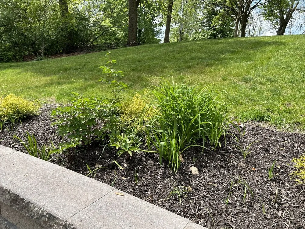 Local landscaping services with custom design across Fort Wayne, IN - Galbraith's