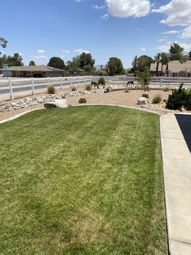 Trusted landscaping services experts serving Apple Valley, CA - Galeana Services