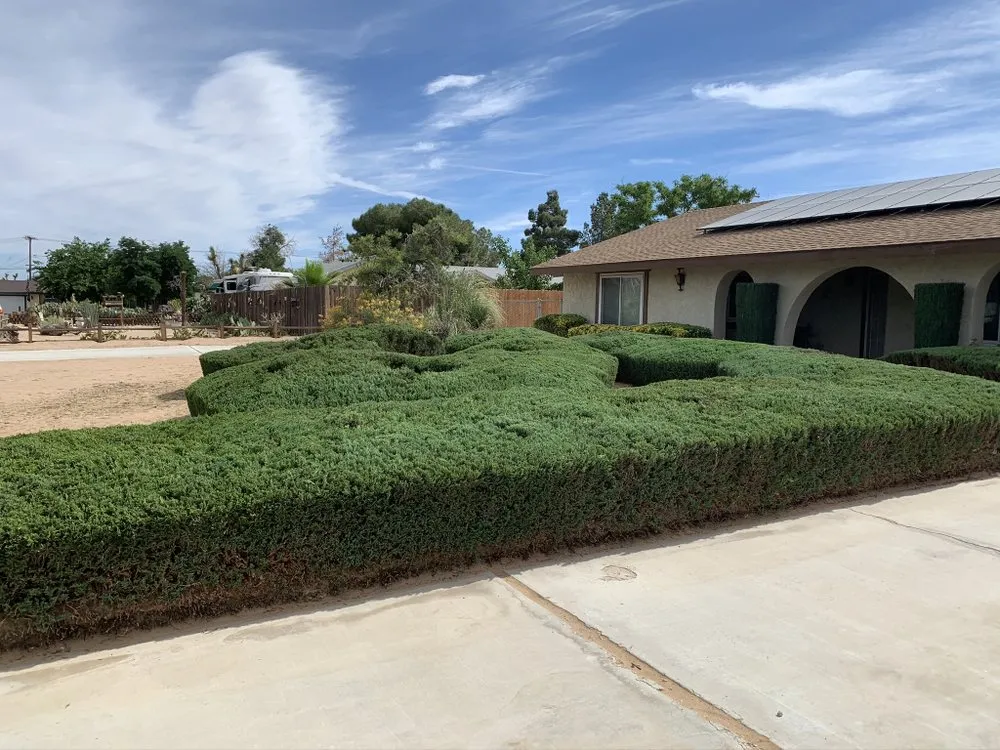 Professional lawn care service for homes across Apple Valley, CA - Galeana Services