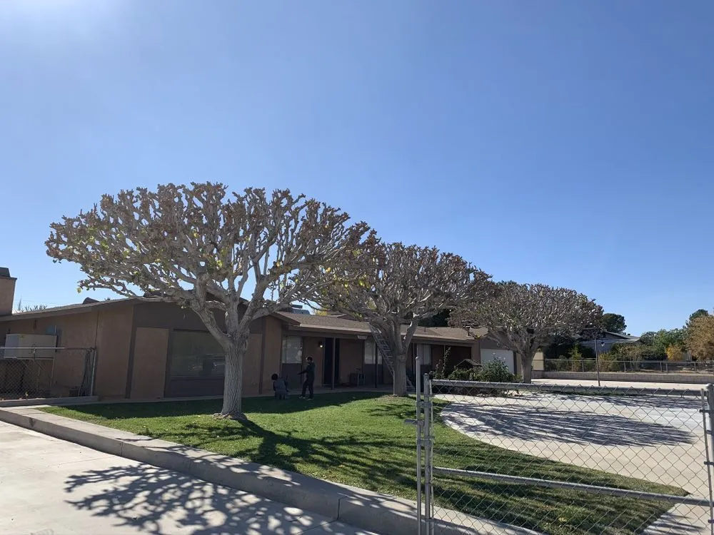 Local landscape installation near you in Apple Valley, CA by Galeana Services