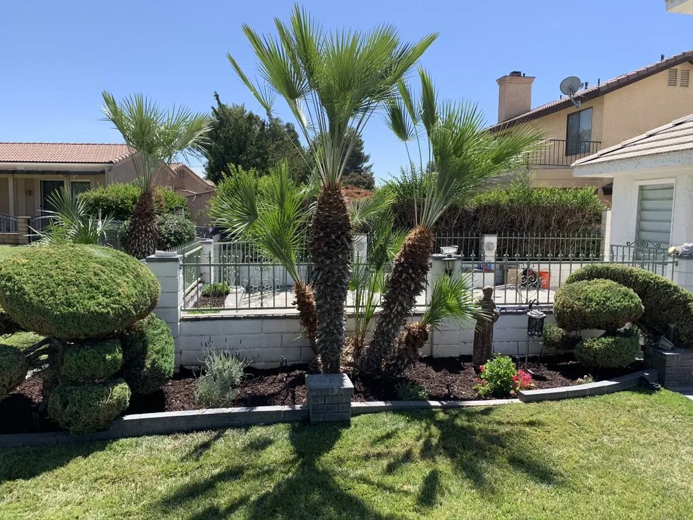 Custom landscape design in Apple Valley, CA by Galeana Services