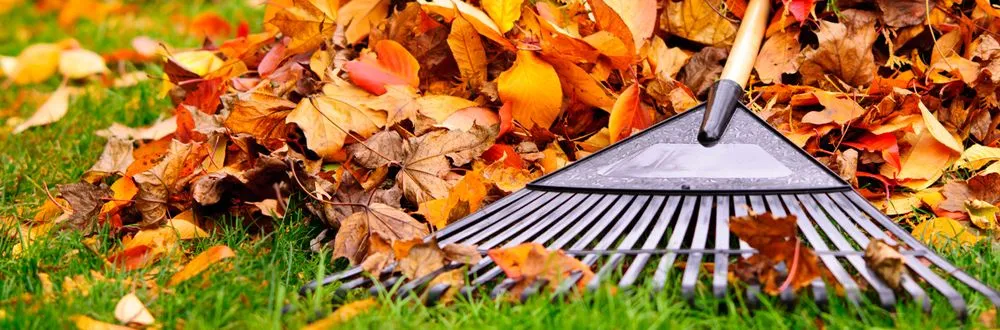 Custom yard maintenance in Norristown, PA - Galeano Landscaping