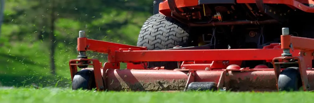 Reliable yard maintenance in Norristown, PA by Galeano Landscaping