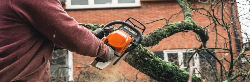 Affordable landscape installation for year-round maintenance across Norristown, PA - Galeano Landscaping