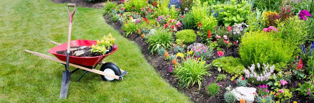 Local landscape installation for outdoor upgrades in Norristown, PA by Galeano Landscaping