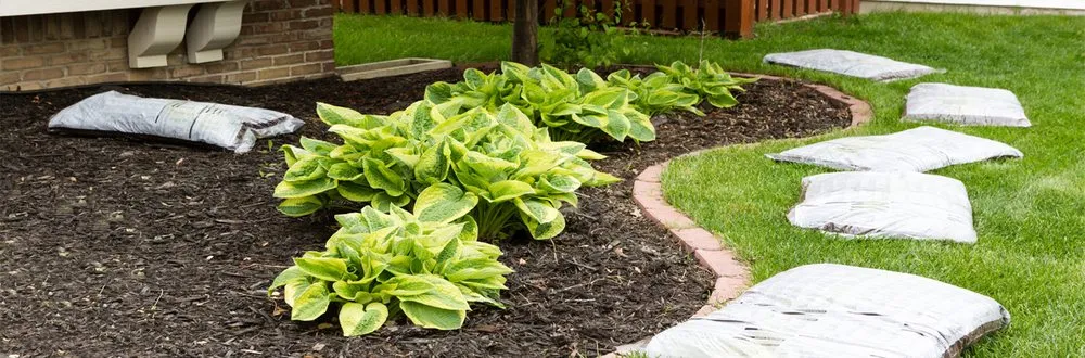 Reliable lawn care service experts serving Norristown, PA - Galeano Landscaping