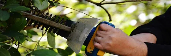 Galeano Landscaping Logo