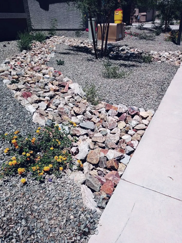 Custom yard cleanup service experts serving Phoenix, AZ - Galicia Landscape