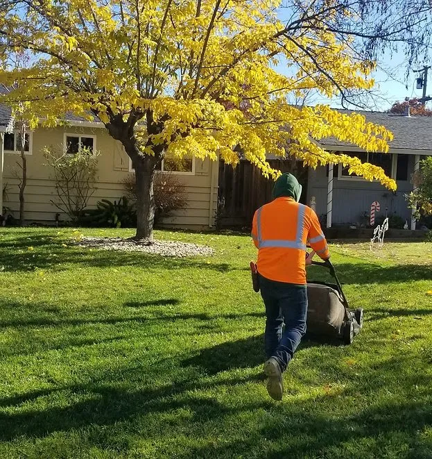 Custom outdoor landscaping in Menlo Park, CA - Galicia Landscapers