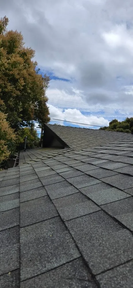 Trusted outdoor landscaping in Menlo Park, CA by Galicia Landscapers