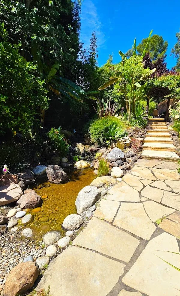 Trusted yard cleanup service in Menlo Park, CA by Galicia Landscapers