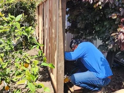 Reliable lawn care service experts serving Menlo Park, CA - Galicia Landscapers