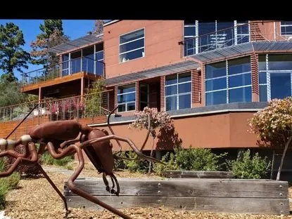 Trusted landscaping services near you across Menlo Park, CA - Galicia Landscapers