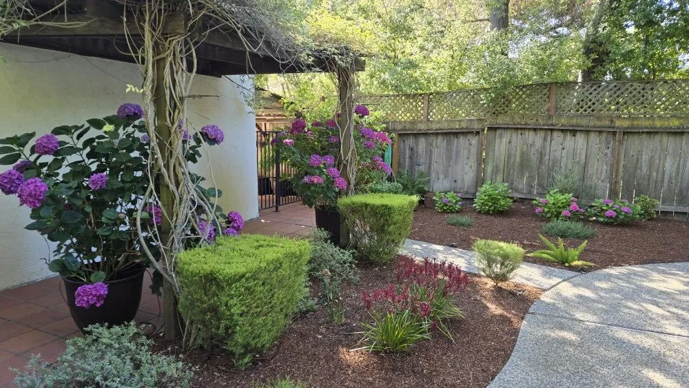 Local lawn care service with custom design in Menlo Park, CA by Galicia Landscapers