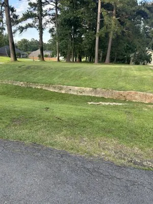 Galimore Lawn Care Logo