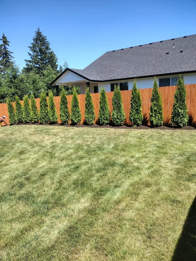 Local landscape installation for year-round maintenance in Vancouver, WA by Galindo Landscaping