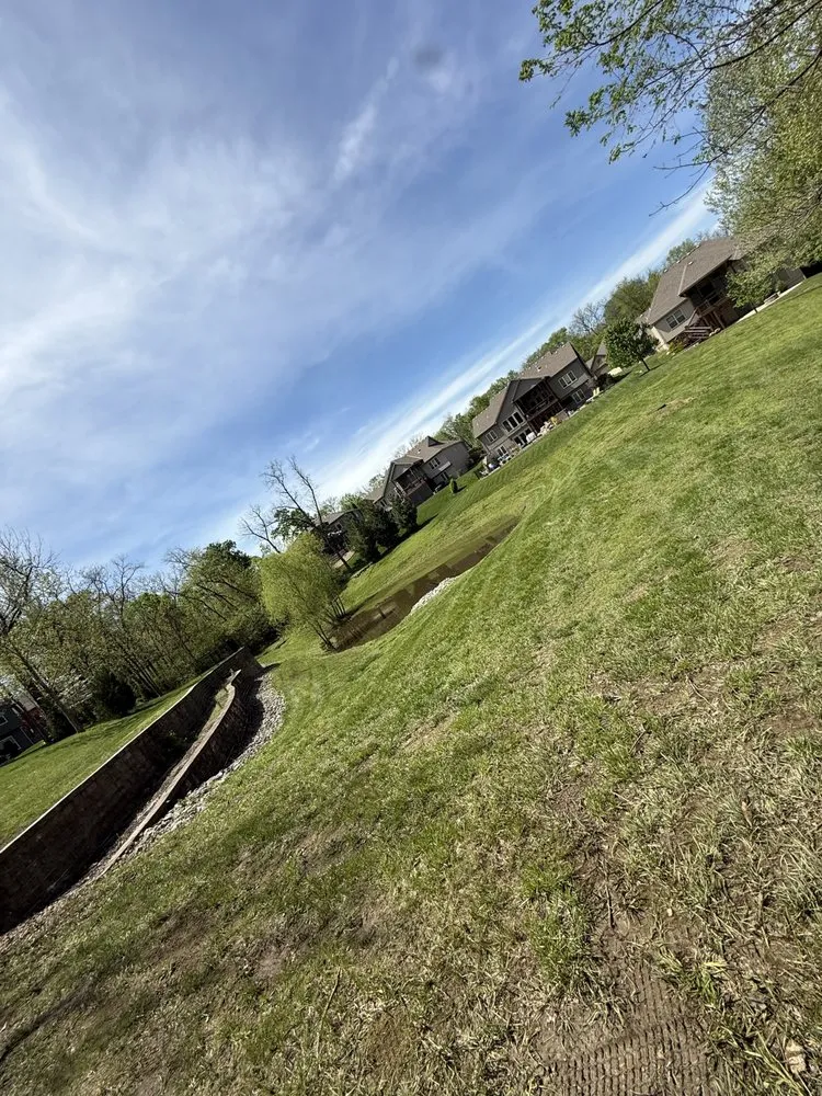 Professional yard cleanup service in Kansas City, MO by Galindo Lawn