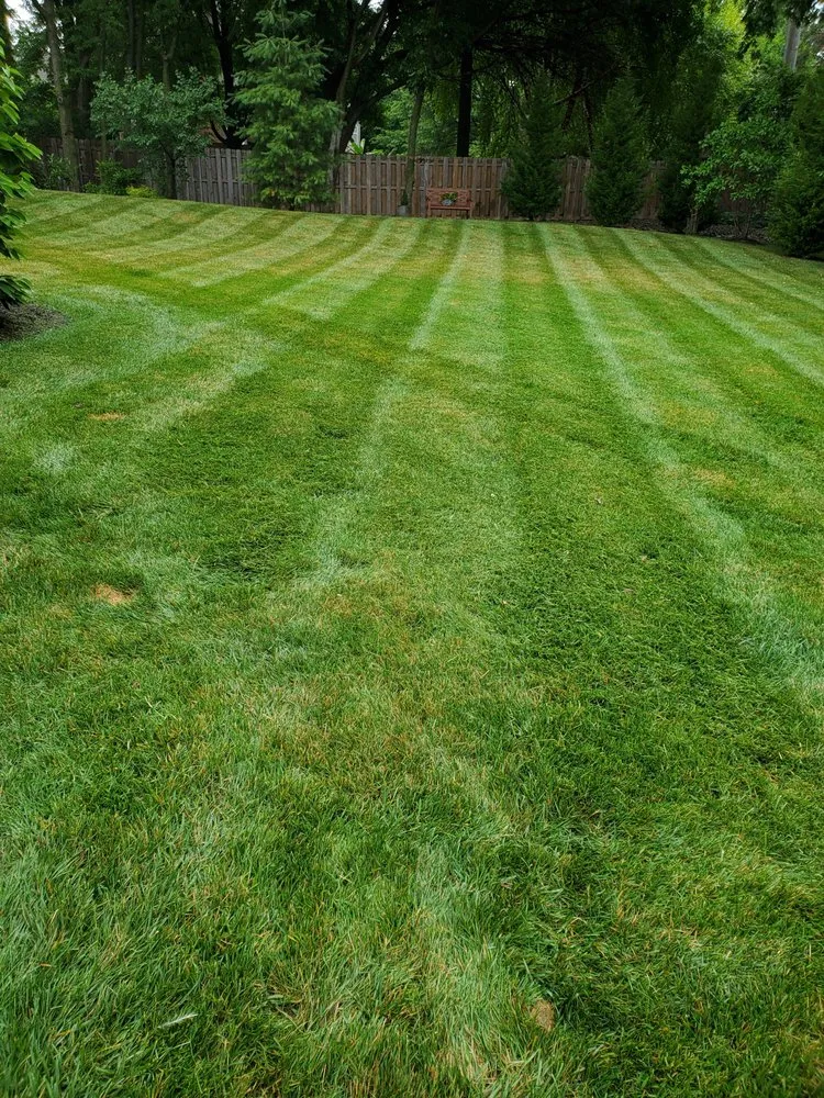 Affordable yard cleanup service experts serving Kansas City, MO - Galindo Lawn