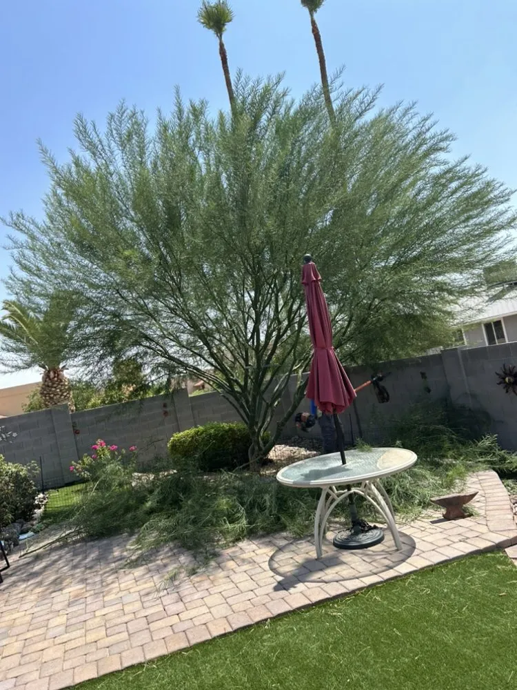 Top-rated yard maintenance for year-round maintenance across Glendale, AZ - Galindo Lawn Service