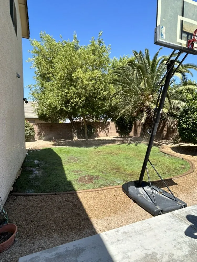 Local lawn mowing service in Glendale, AZ by Galindo Lawn Service