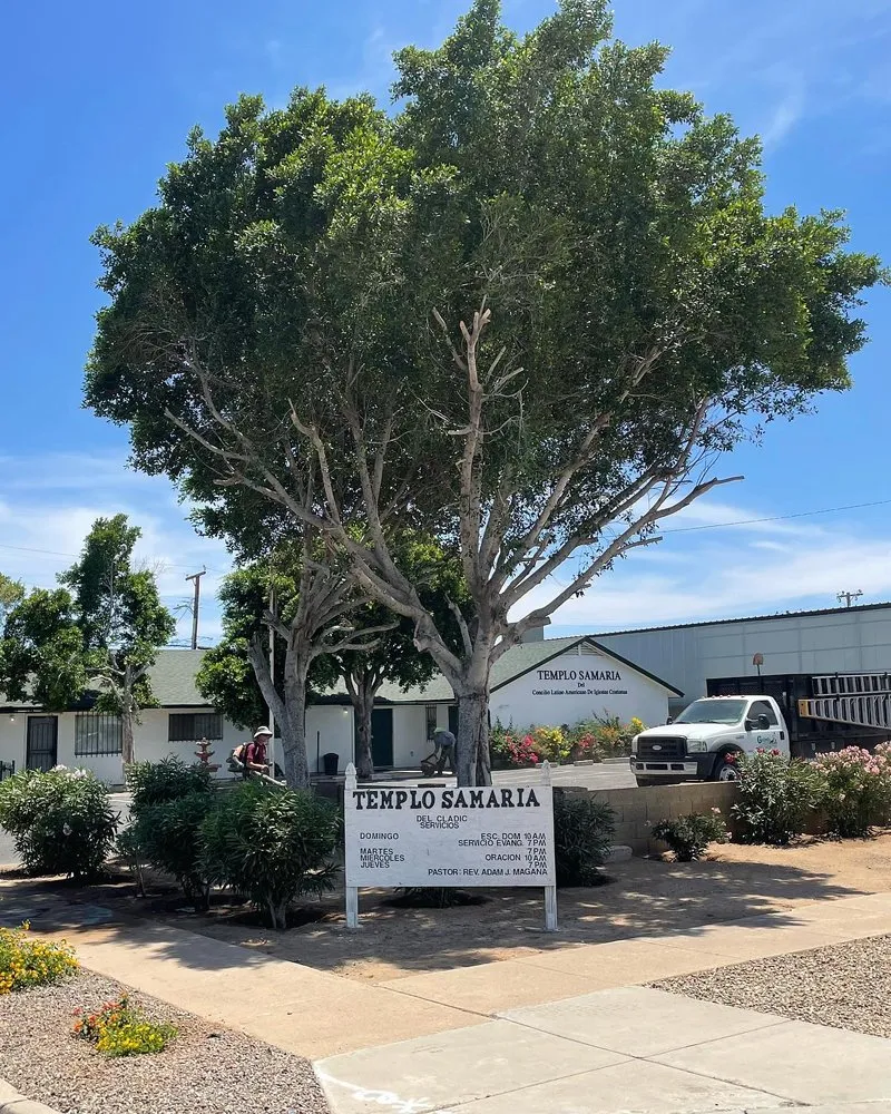 Trusted lawn care service experts serving Glendale, AZ - Galindo Lawn Service