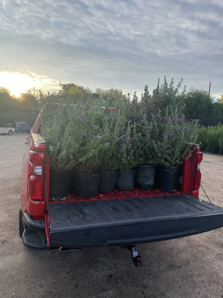 Top-rated garden landscaping for beautiful yards in Glendale, AZ by Galindo Lawn Service