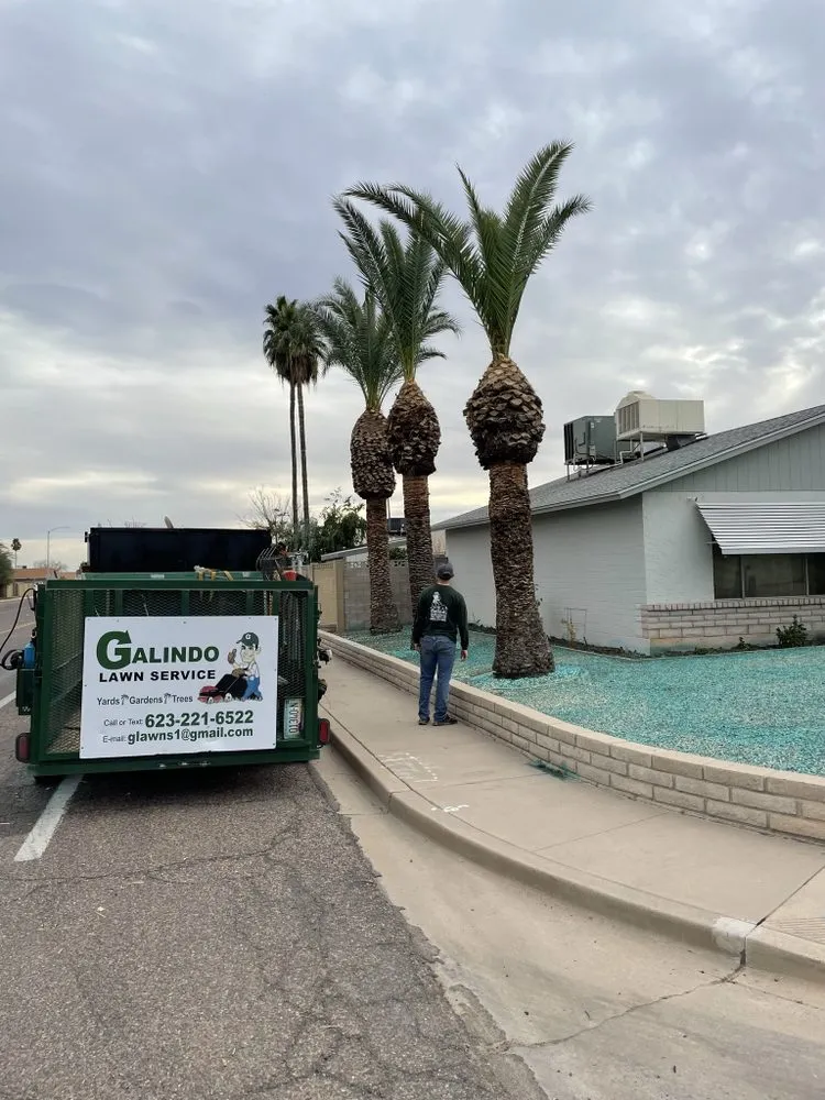 Affordable landscape installation for outdoor upgrades across Glendale, AZ - Galindo Lawn Service