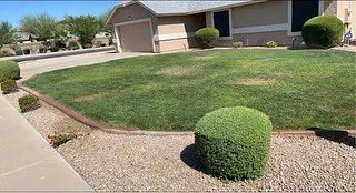 Professional yard maintenance in Glendale, AZ - Galindo Lawn Service