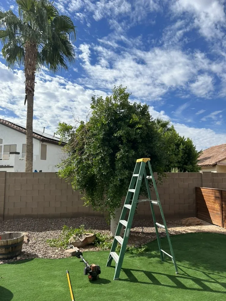 Local lawn mowing service for homes across Glendale, AZ - Galindo Lawn Service