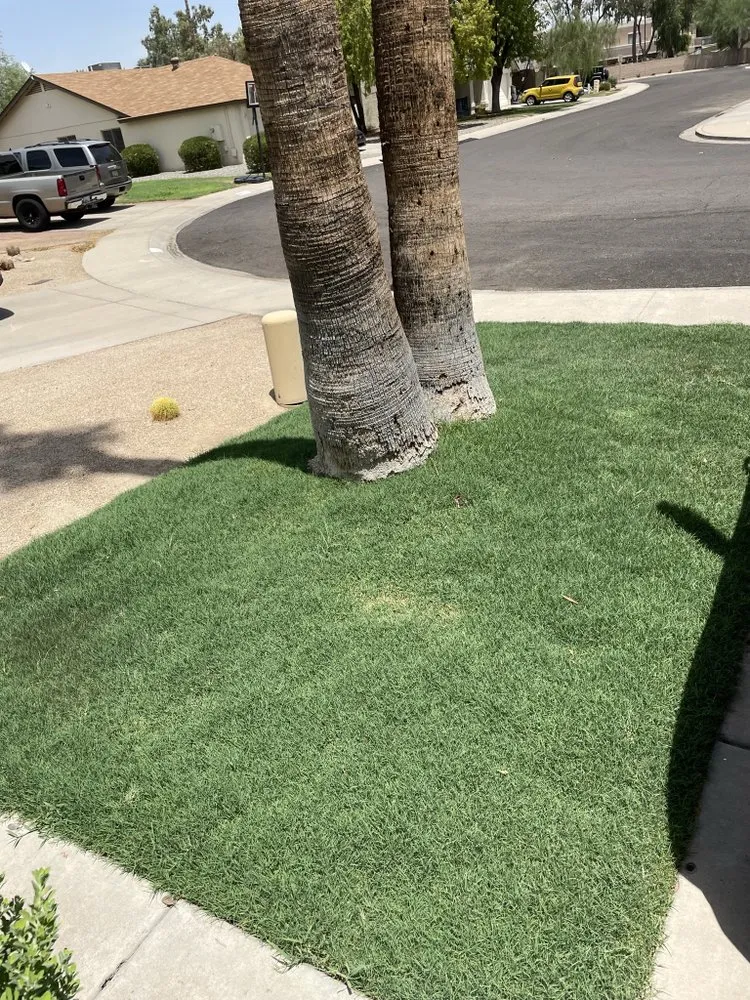 Professional landscape installation for year-round maintenance in Glendale, AZ by Galindo Lawn Service