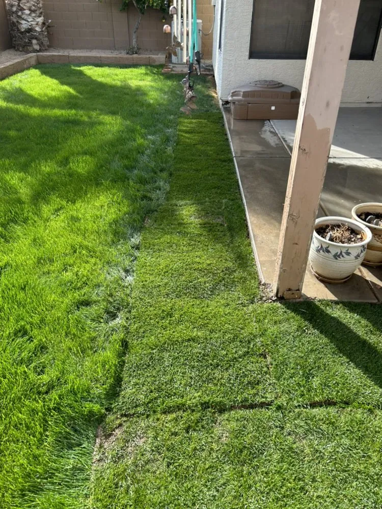 Expert landscape installation in Glendale, AZ - Galindo Lawn Service