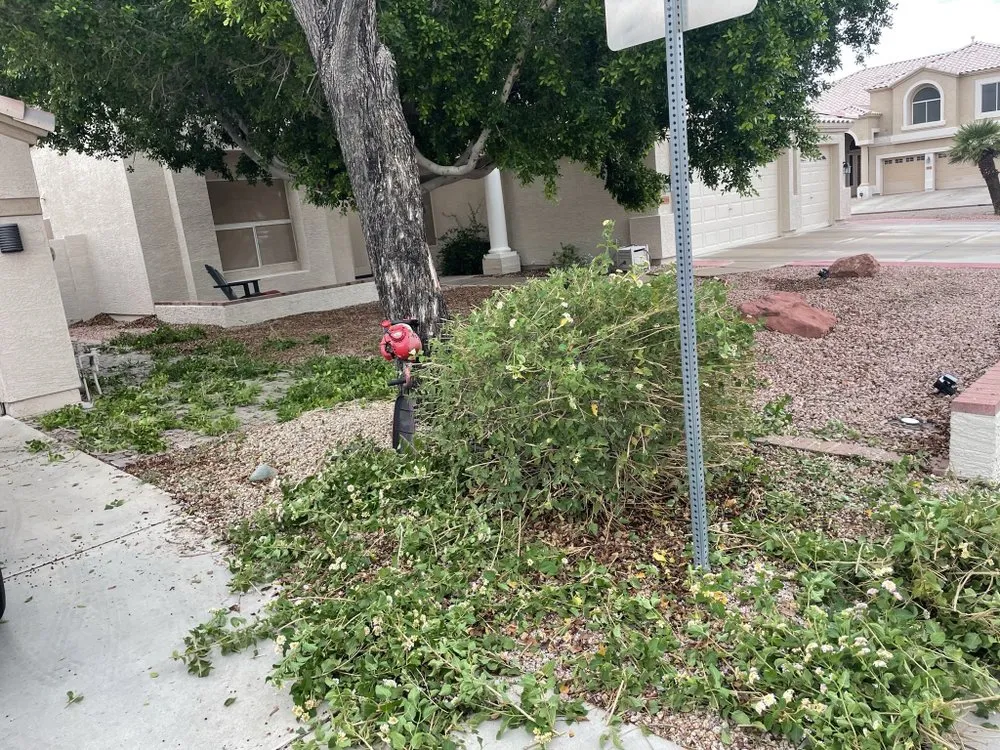 Expert yard maintenance for outdoor upgrades in Glendale, AZ by Galindo Lawn Service