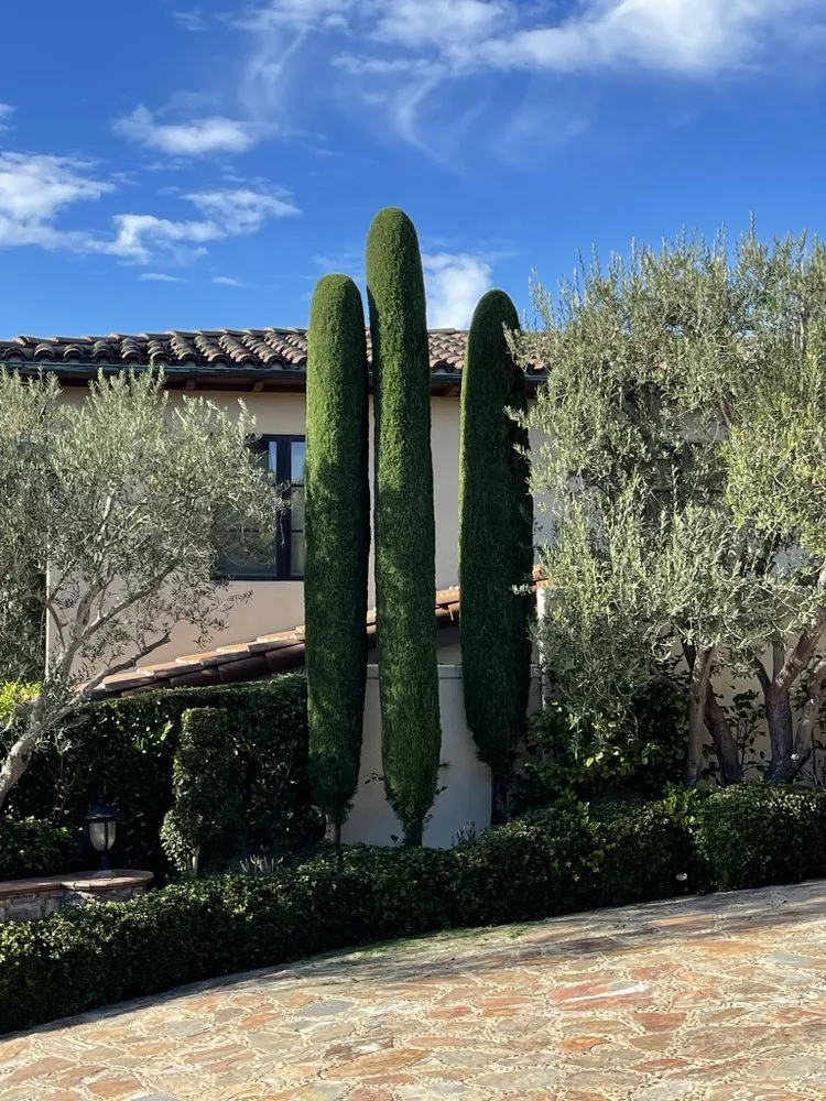 Reliable landscaping services for beautiful yards across Newport Beach, CA - Galindo’s Landscaping & Gardening