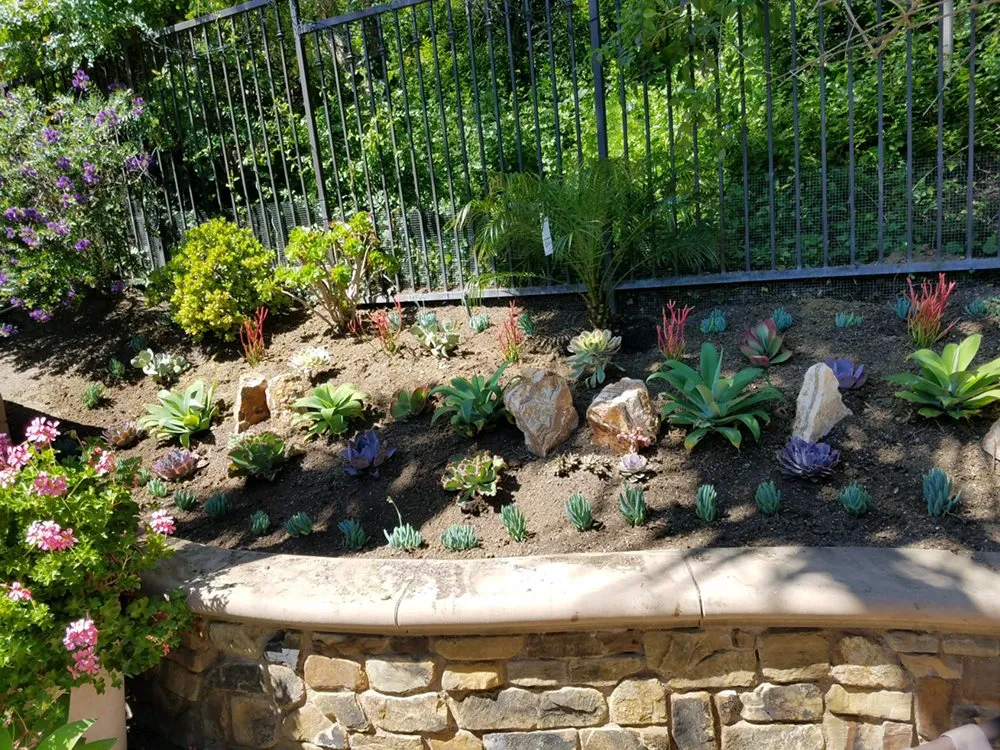 Top-rated garden landscaping with custom design across Newport Beach, CA - Galindo’s Landscaping & Gardening