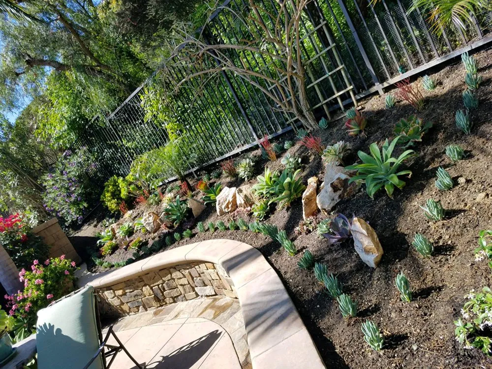 Custom lawn care service in Newport Beach, CA by Galindo’s Landscaping & Gardening