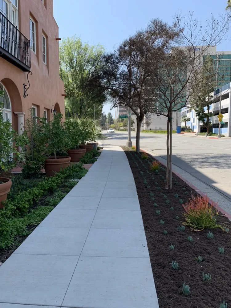 Top-rated lawn mowing service in Newport Beach, CA by Galindo’s Landscaping & Gardening