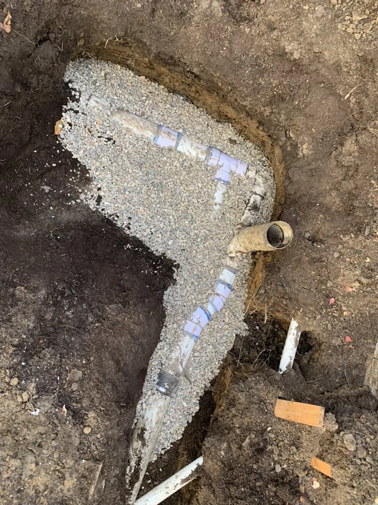 Local landscaping services experts serving Newport Beach, CA - Galindo’s Landscaping & Gardening