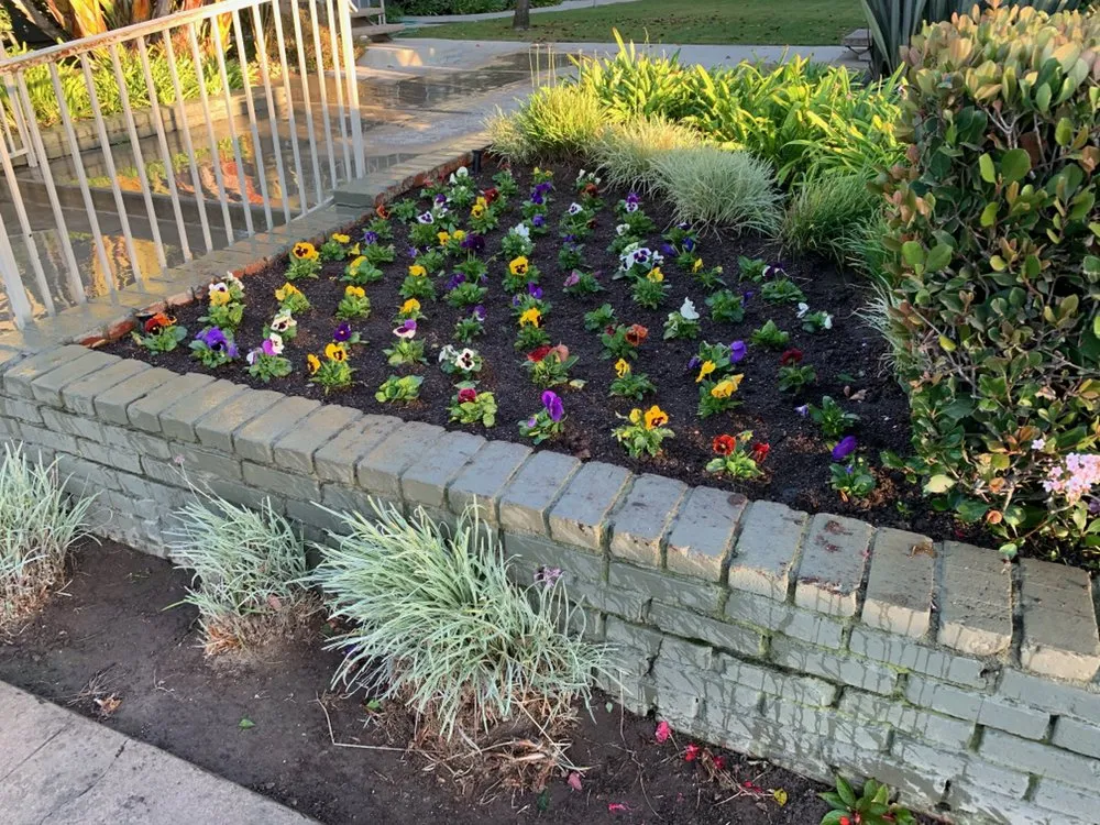 Trusted residential landscaping in Newport Beach, CA - Galindo’s Landscaping & Gardening
