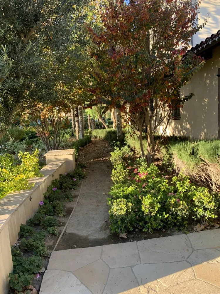 Local yard maintenance in Newport Beach, CA - Galindo’s Landscaping & Gardening
