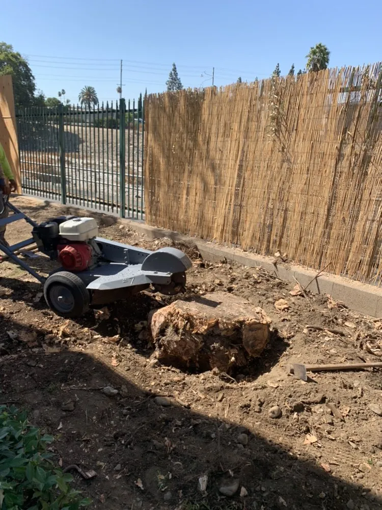 Top-rated landscape design experts serving Newport Beach, CA - Galindo’s Landscaping & Gardening