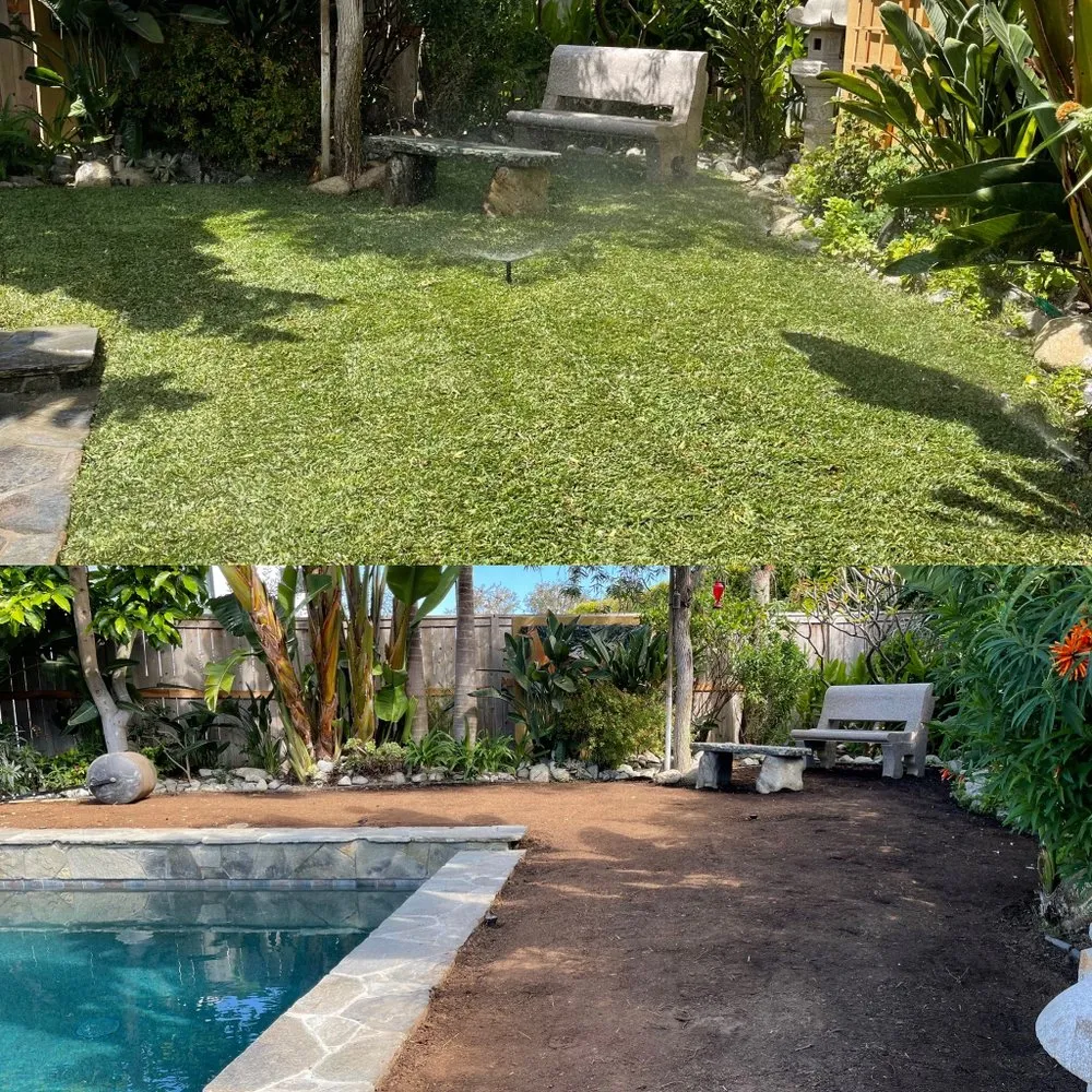 Local lawn care service experts serving Newport Beach, CA - Galindo’s Landscaping & Gardening